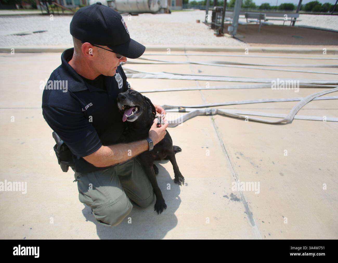 Accelerant detection dog hi-res stock photography and images - Alamy