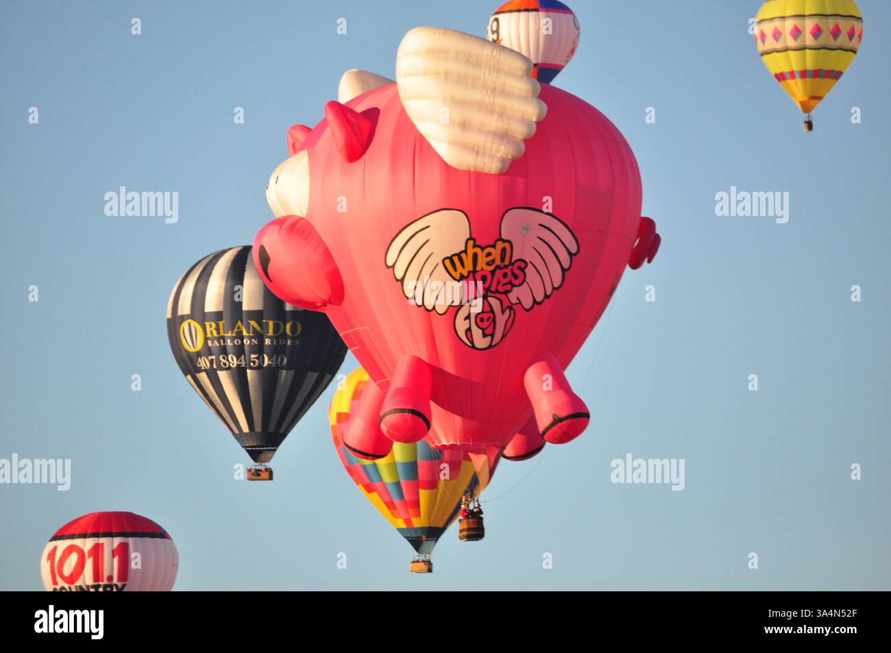 Oct. 4, 2014 - Albuquerque, New Mexico, U.S.A - ALBUQUERQUE, NM: Hundreds of hot air balloons, including this shaped one called ''When Pigs Fly'',  rise at the Albuquerque International Balloon Fiesta Saturday morning October 4, 2014. The Balloon Fiesta is a nine day event, and has around 750 balloons. The event is the largest hot air balloon festival in the world. CREDIT: Kevin P. Coughlin/Zuma Press (Credit Image: © Kevin Coughlin/ZUMA Wire) Stock Photo