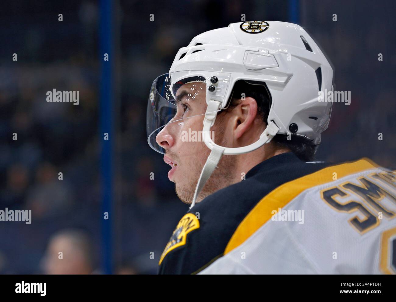 Reilly smith hi-res stock photography and images - Alamy, image size:1300x990