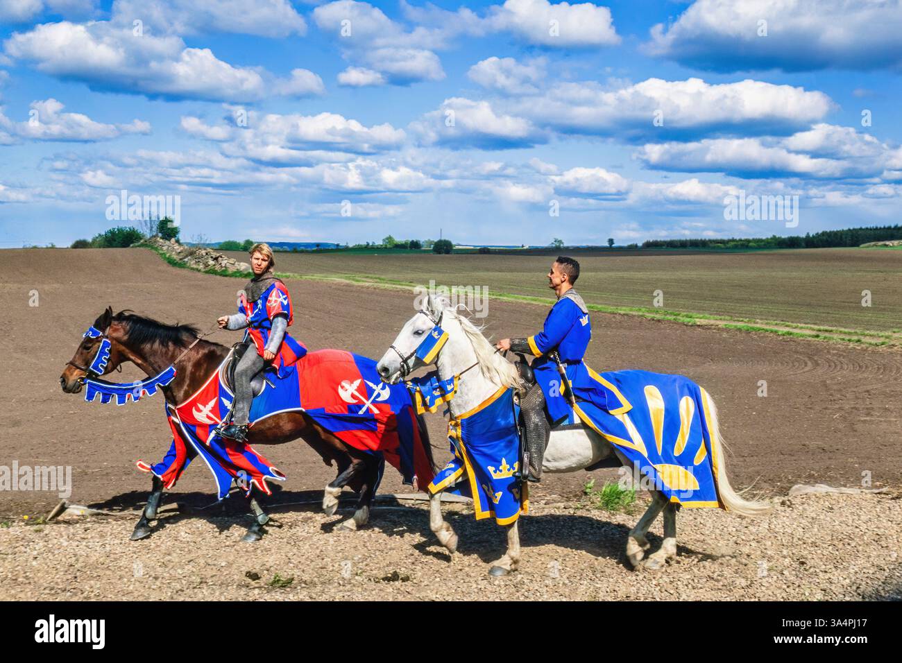 Knight Horse Rider Medieval knight in a field hi-res stock photography and images - Alamy