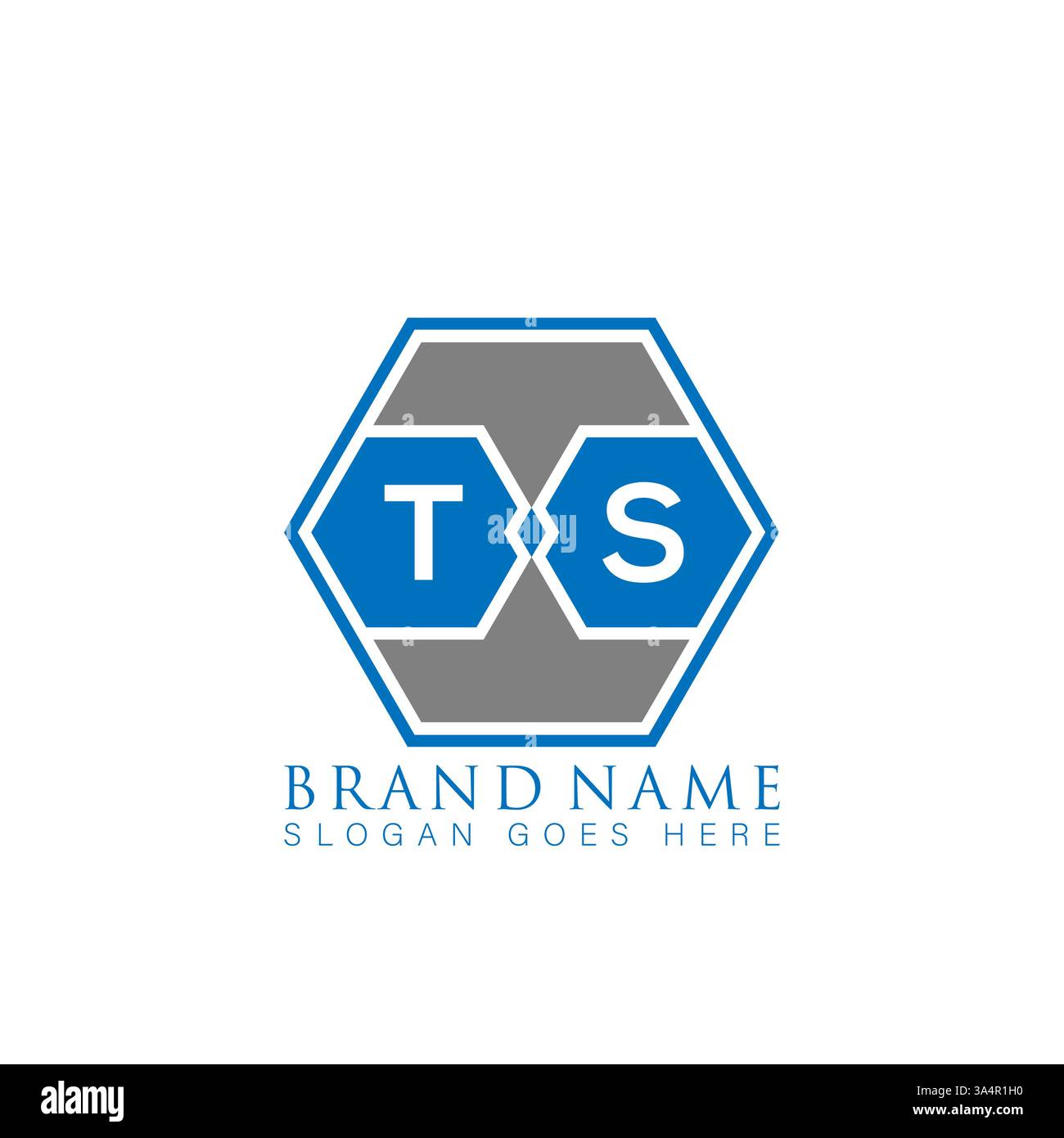 TS Unique modern flat abstract geometric initials vector letter logo design. TS monogram logo. Stock Vector