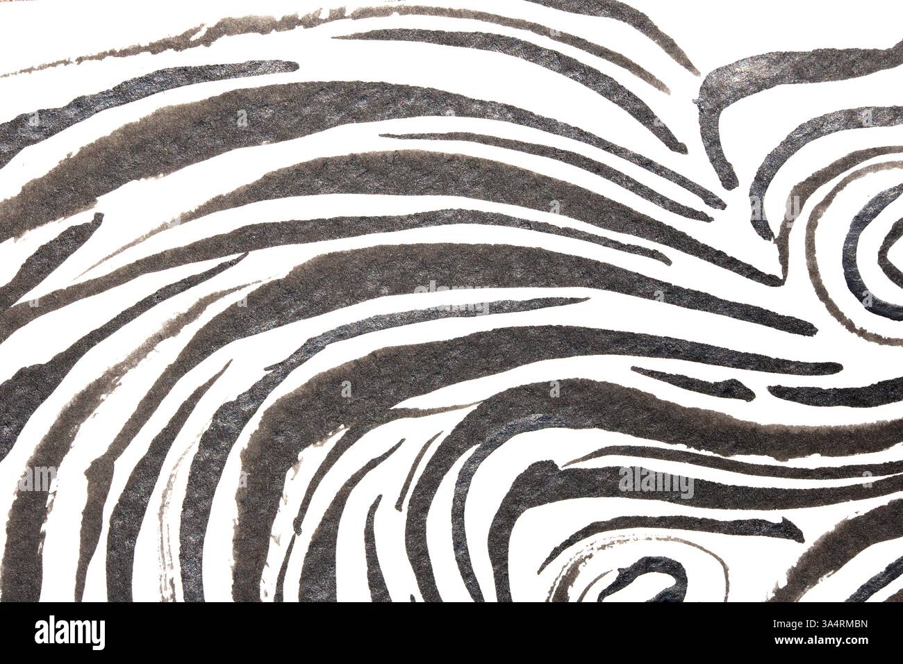 Thick Ink Pen Black Swirly Wavy Lines on White Background Zebra Skin ...