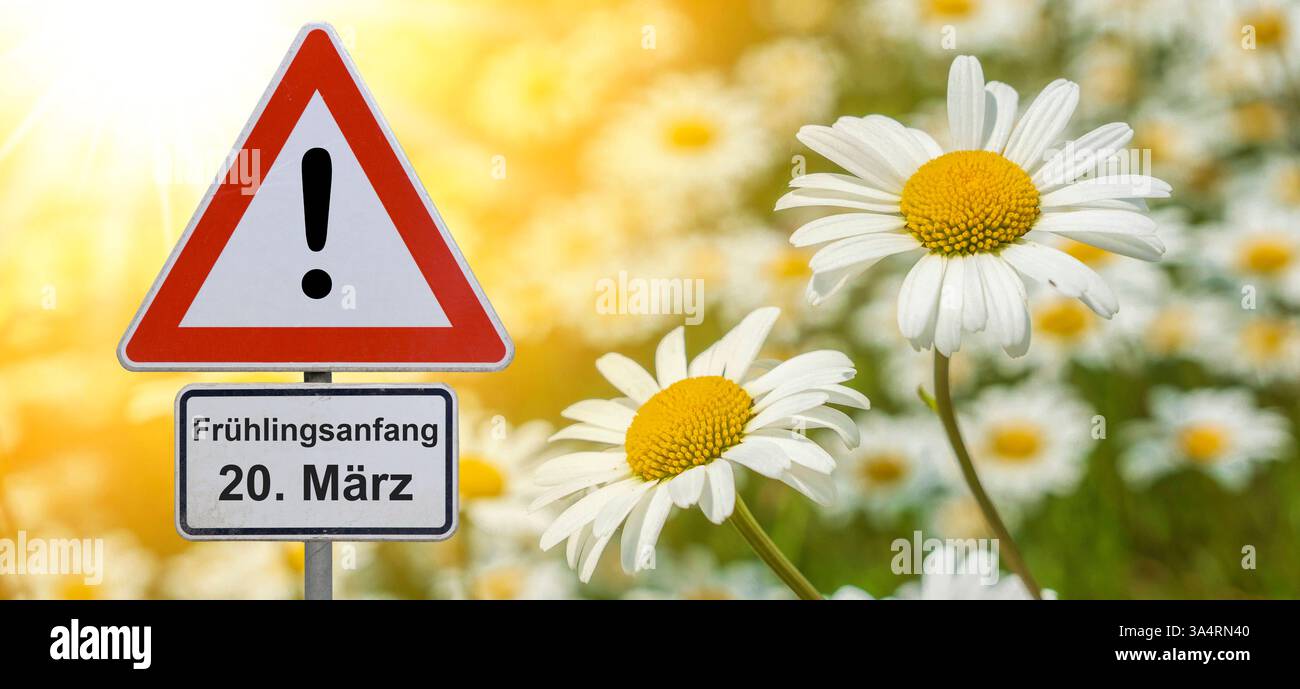 Blumen Fr Mrz