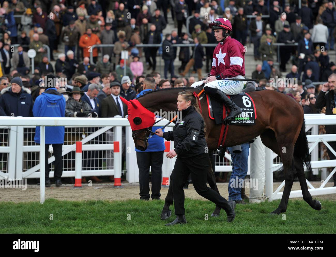 Cheltenham gold cup 2025 hi-res stock photography and images - Alamy