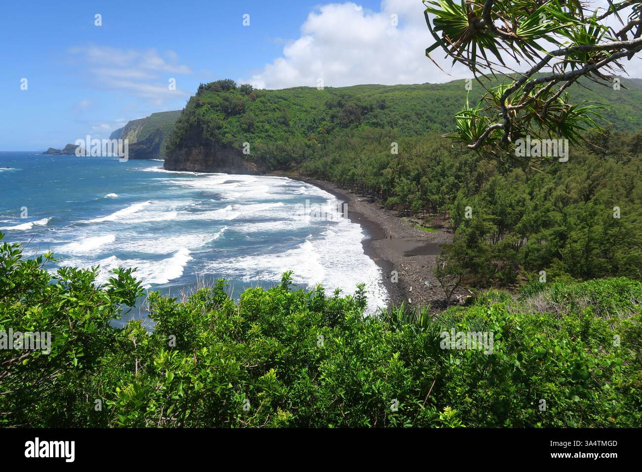 A view of the black sand beach at Pololu Valley, Hawaii, Big Island USA ...