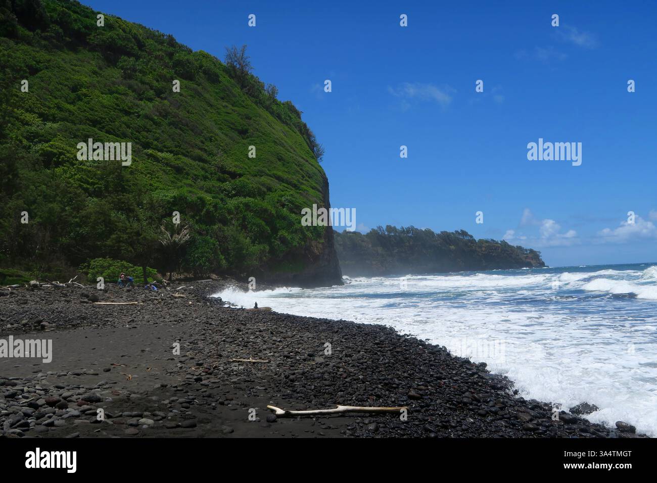 Black sand beach at Pololu Valley, Hawaii, Big Island USA June 2024 ...