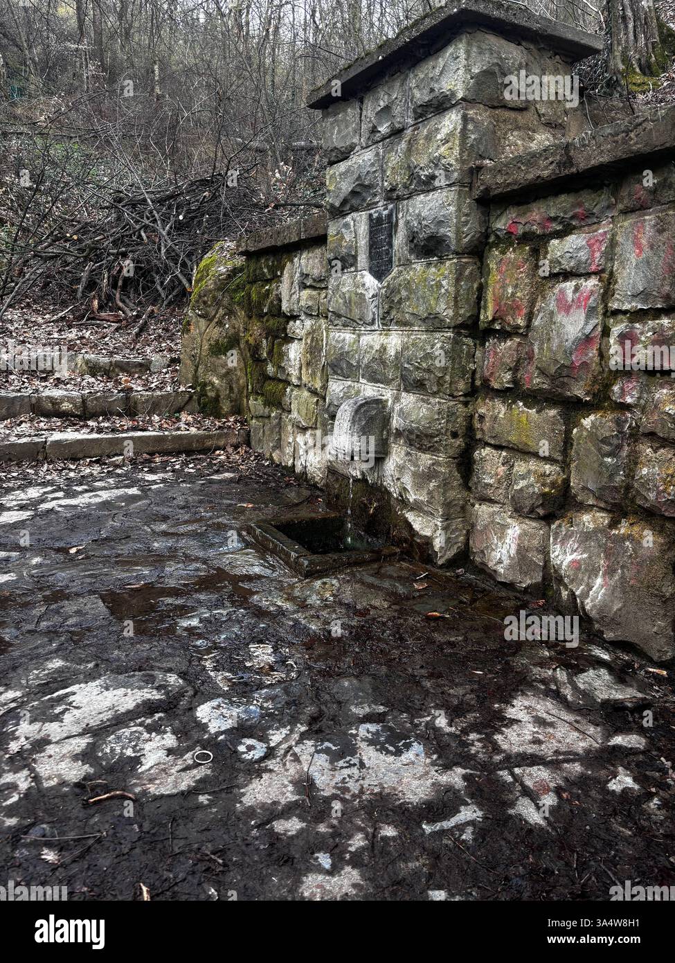 ancient stone fountain in the forest - Smartphone Captured Stock Image