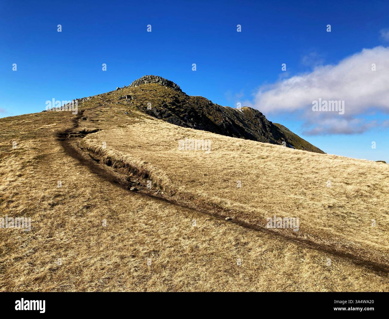 Munros Beinn a' Chochuill & Beinn Eunaich, with a view along the ridge path towards Beinn a' Chochuill summit, Scotland - Smartphone Captured Stock Image