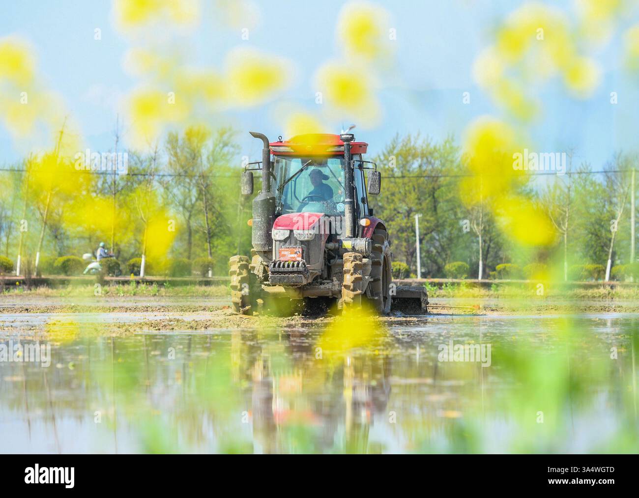 Spring Chunfen (250320) -- BEIJING, March 20, 2025 (Xinhua) -- A farmer driving a farm ...