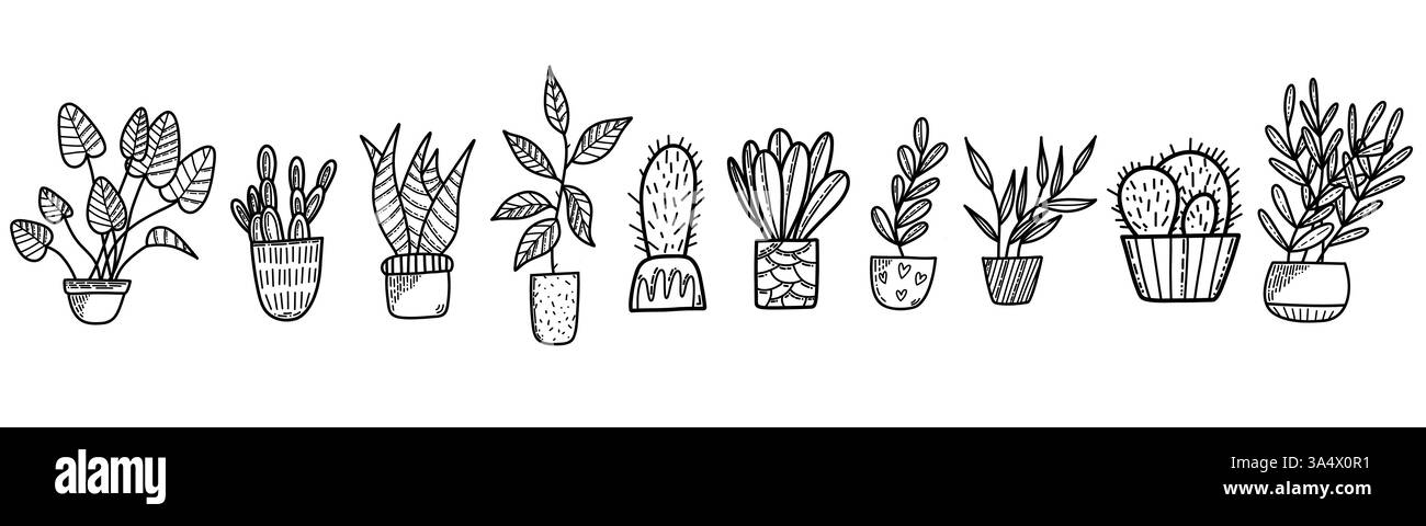 Hand-Drawn Black and White Potted Plants Illustrations Vector Art Stock ...
