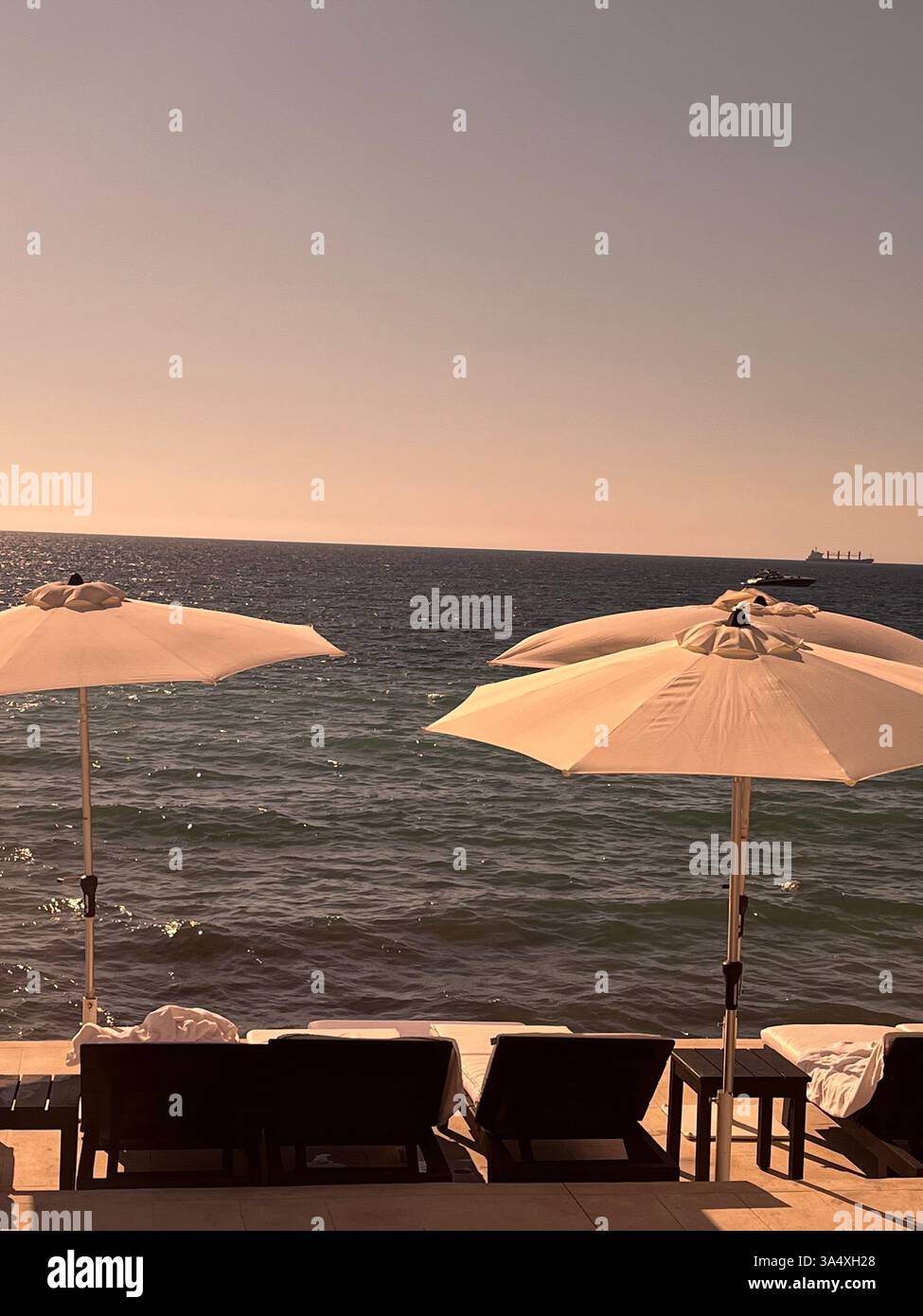 Serene beachfront escape with sun loungers and umbrellas overlooking the tranquil ocean, perfect for a peaceful vacation by the water. - Smartphone Captured Stock Image