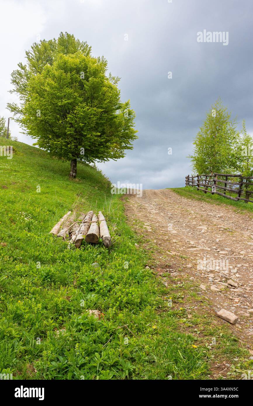 countryside mountain landscape in spring. green nature with cloudy sky. beautiful view with fence along the path through hill in the rain for tourism. Stock Photo