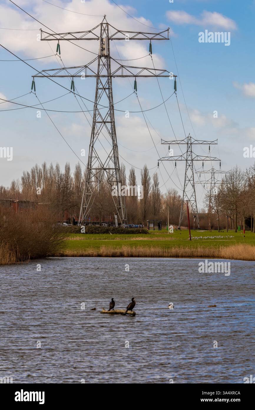 Electricity pylon in the middle of a residential area with family ...