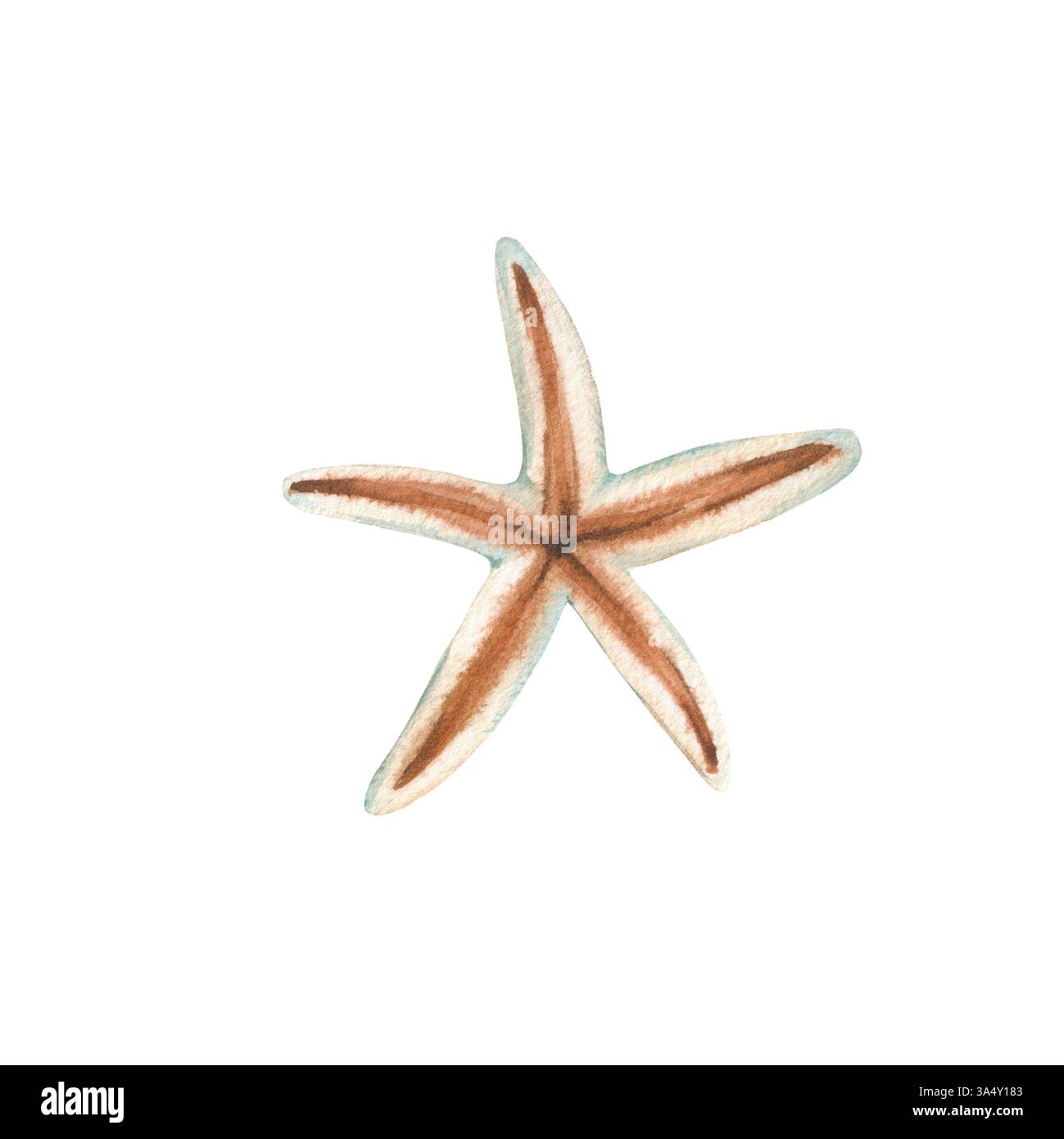 Starfish watercolor illustration hand drawn and isolated on white ...