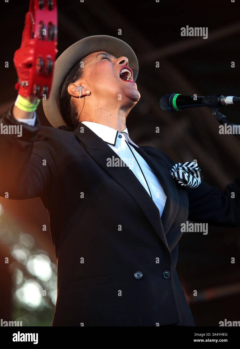 The Selecter at the Mosborough Music Festival in Sheffield - 06 June 2015 Stock Photo