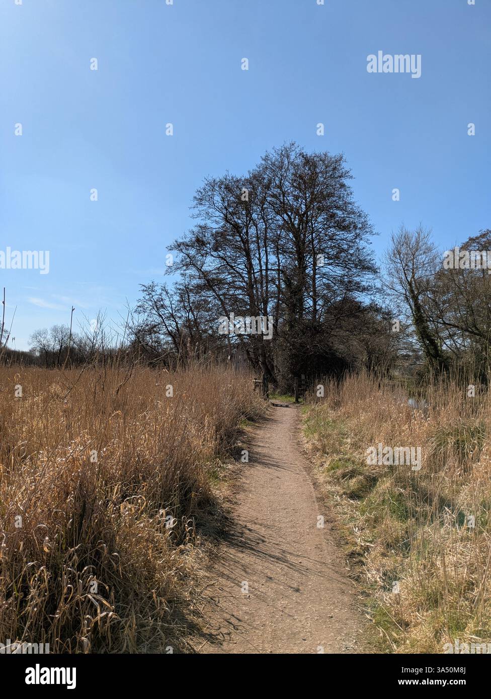 A countryside walk with path in nature at the moors in England on a ...