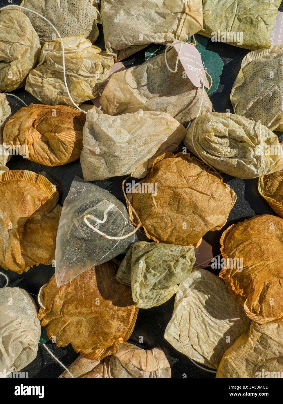 A cluster of used teabags rests on a sunlit surface, their damp, crumpled forms slowly drying under the warmth of the afternoon light. - Smartphone Captured Stock Image