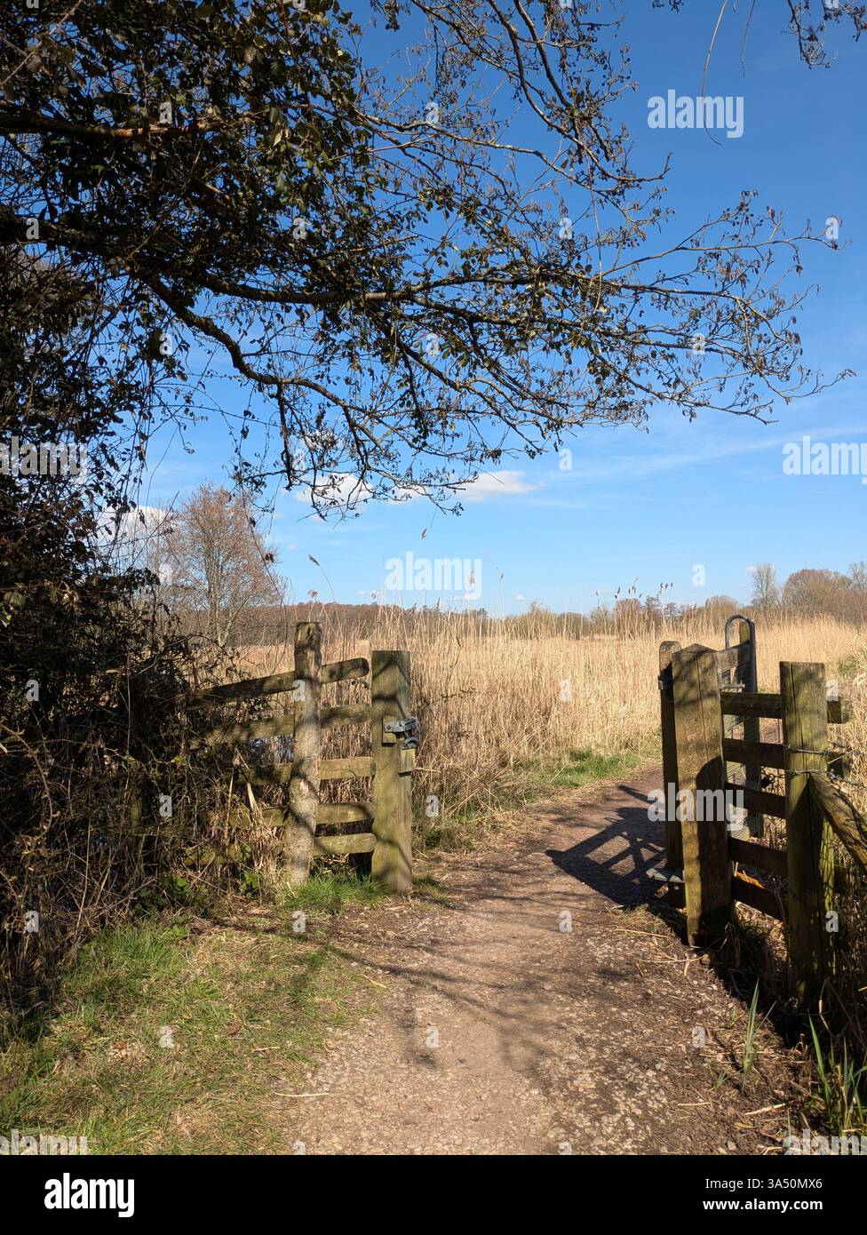 A countryside walk with path in nature at the moors in England on a ...