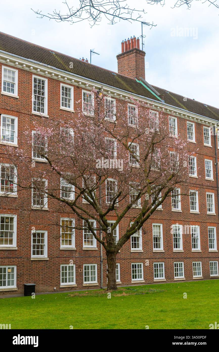 Four Inns Walk Gray's Inn, one of the four Inns of Court in the legal quarter of ...