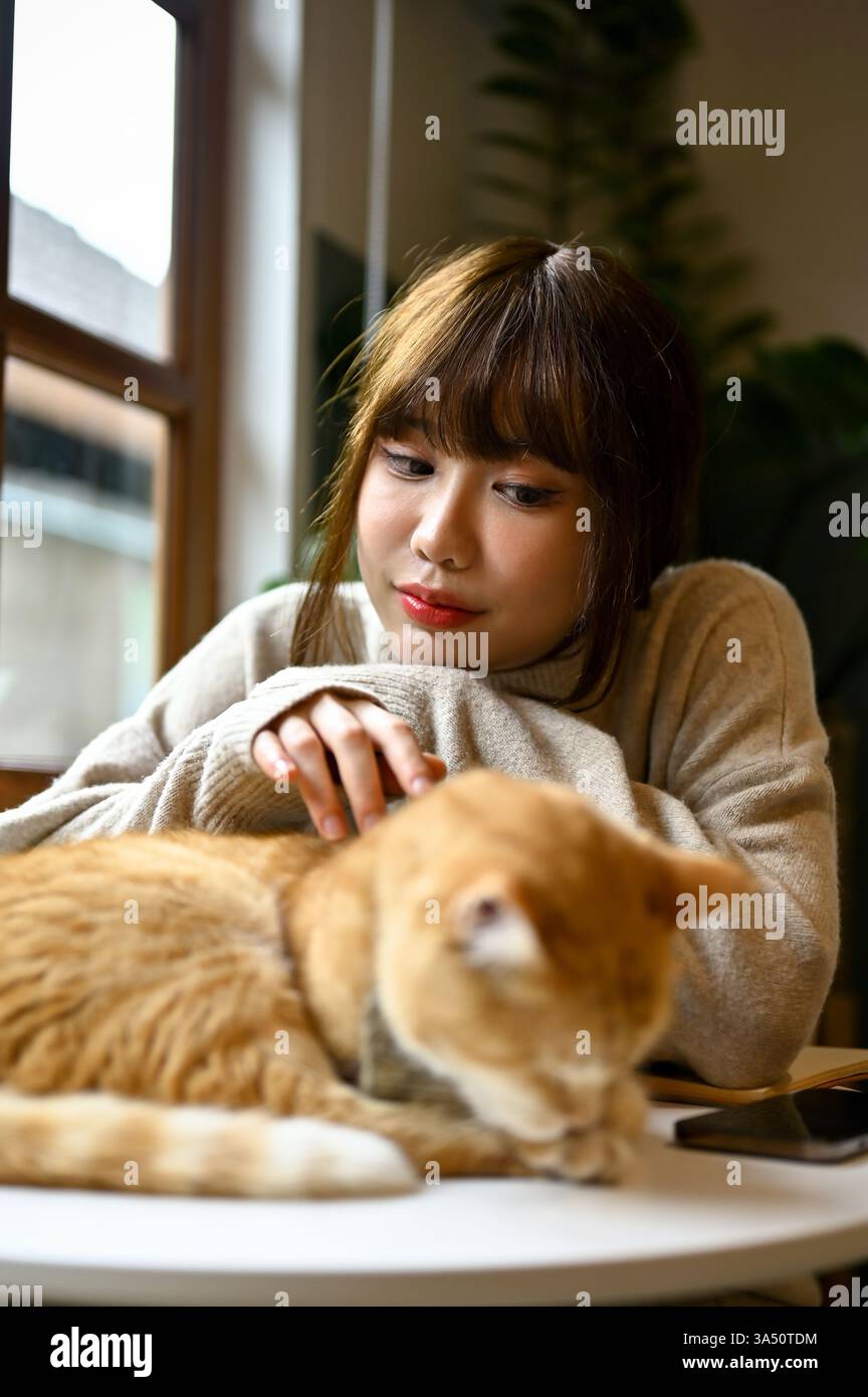 Portrait of a beautiful young Asian woman in cozy sweater resting in ...