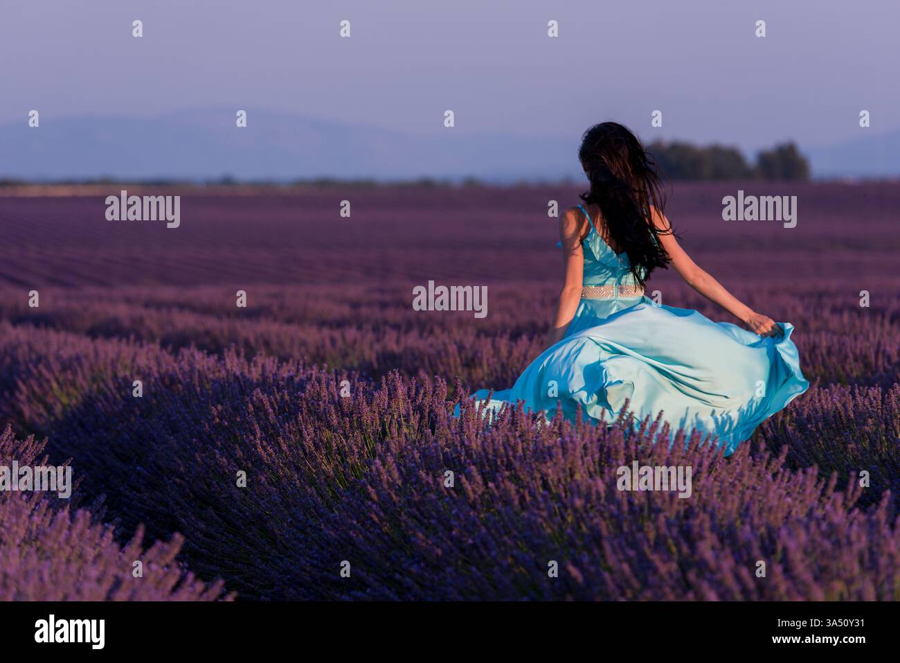 Woman with long hair holding her dress standing in lavender field at sunset Stock Photo