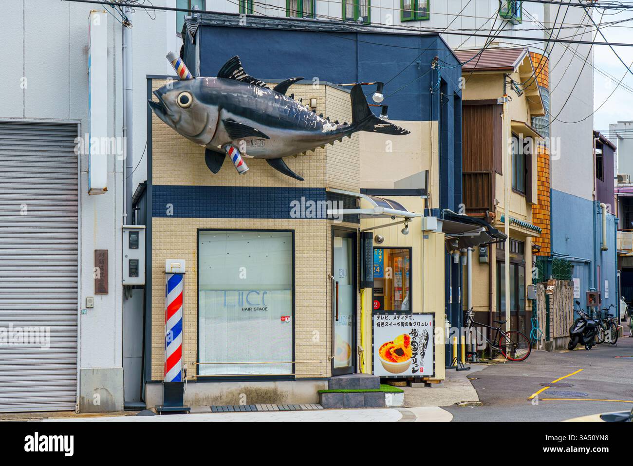 barber pole fish Blue barber fish hi-res stock photography and images