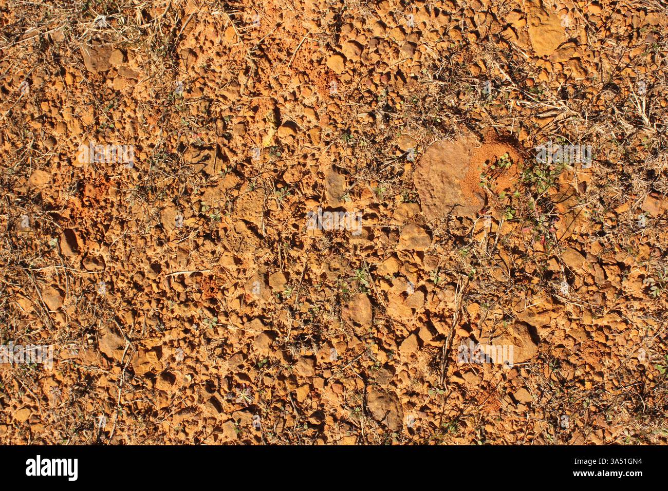 Red Dirt With Rocks and Gravel Background West Texas Dirt Stock Photo ...
