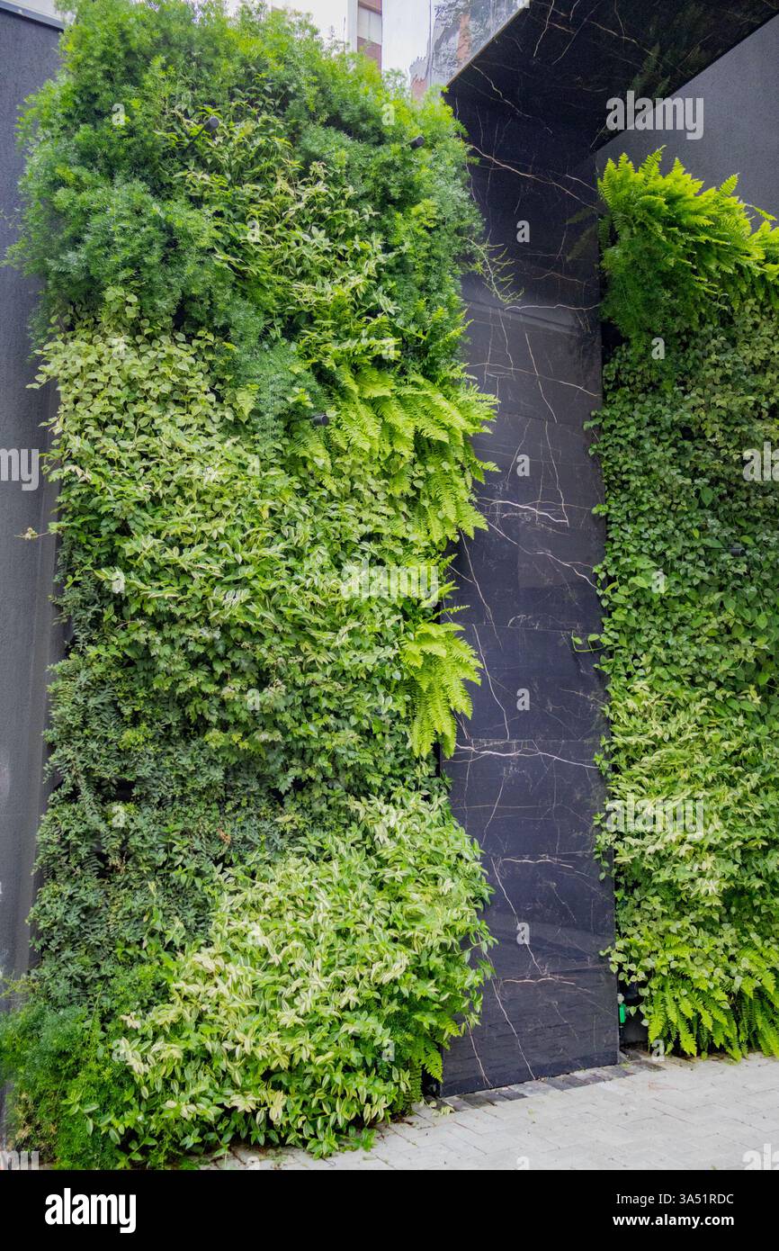 Painel decorativo, Jardim Vertical para prédios, edifícios e residências Stock Photo