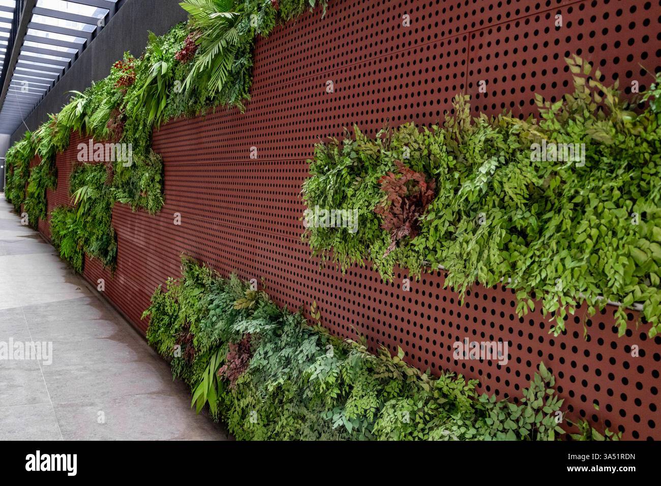 Painel decorativo, Jardim Vertical para prédios, edifícios e residências Stock Photo