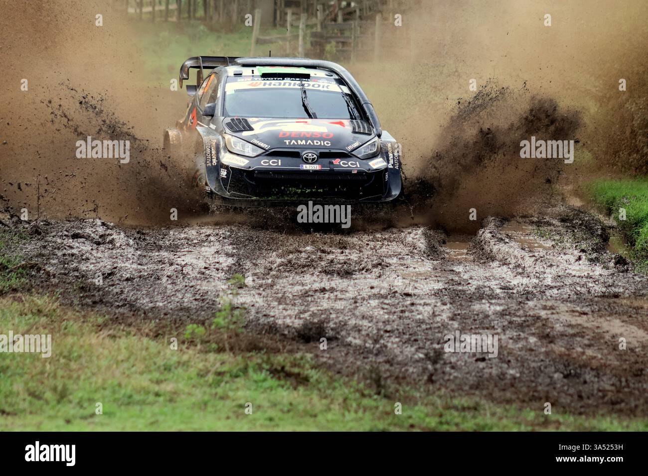 Welsh rally driver Elfyn Evans and British Scott Martin with car Toyota ...