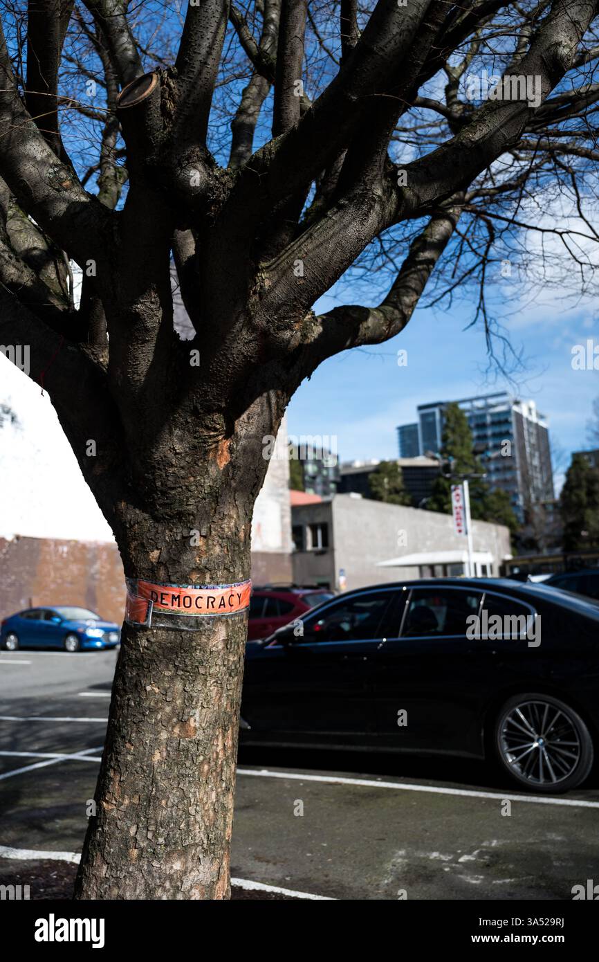 Seattle USA 5th Mar 2025 A Tree Wrapped With A Democracy Band In Belltown Stock Photo Alamy Seattle Usa 5th Mar 2025 A Tree Wrapped With A Democracy Band In Belltown 3A529RJ