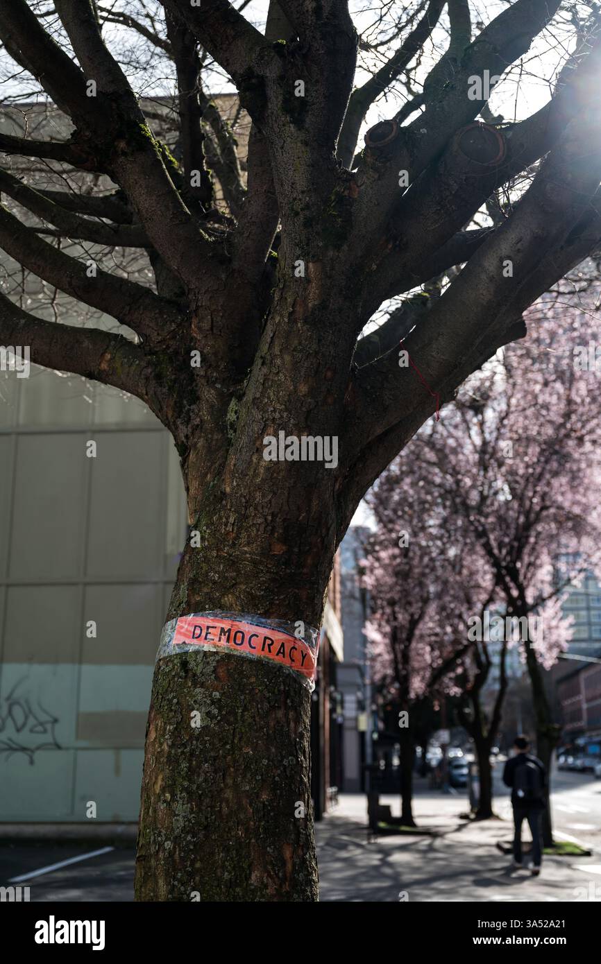 Seattle USA 5th Mar 2025 A Tree Wrapped With A Democracy Band In Belltown Stock Photo Alamy Seattle Usa 5th Mar 2025 A Tree Wrapped With A Democracy Band In Belltown 3A52A21