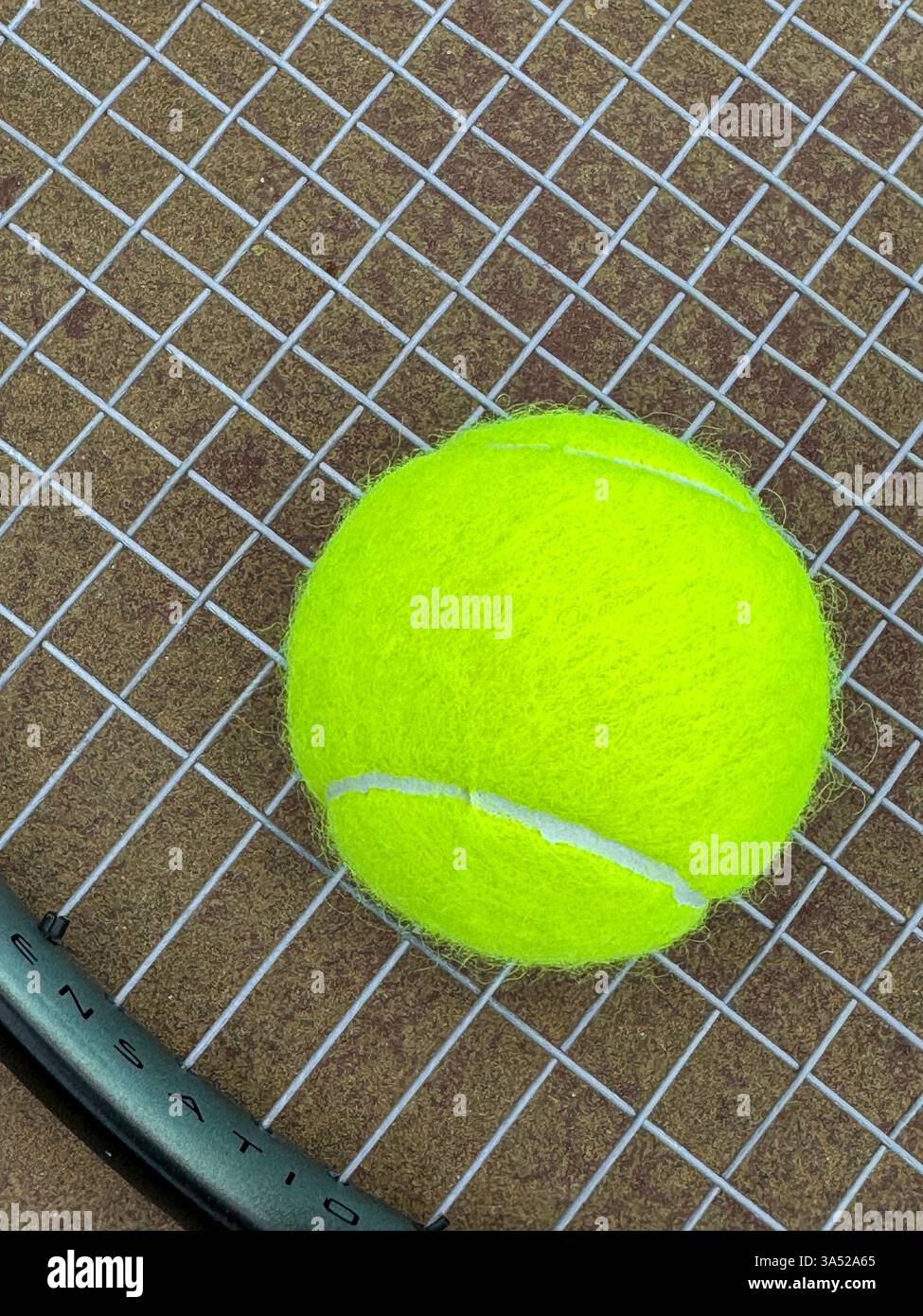 A tennis ball on the strings of a tennis racket - Smartphone Captured Stock Image
