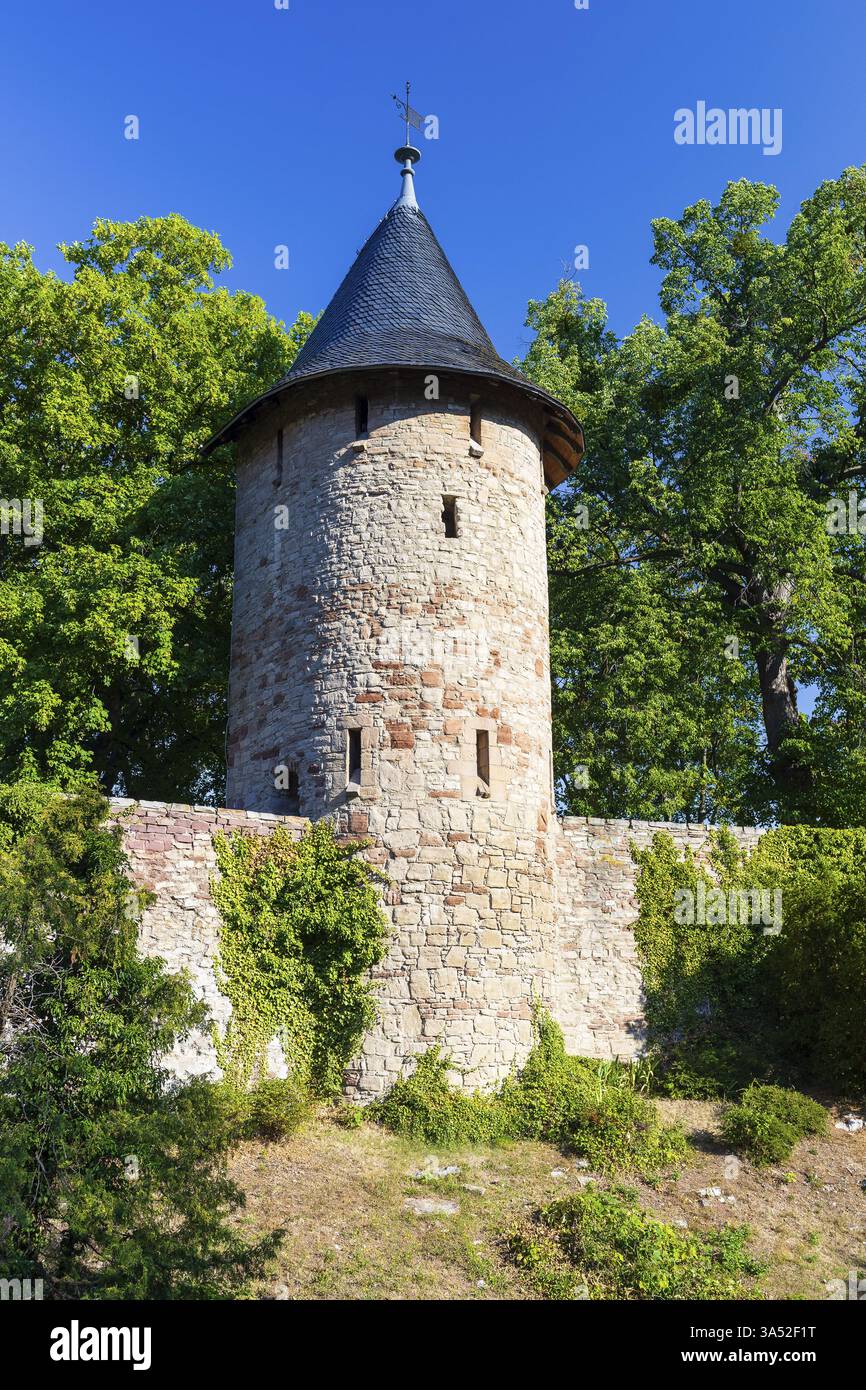 Half shell tower hi-res stock photography and images - Alamy