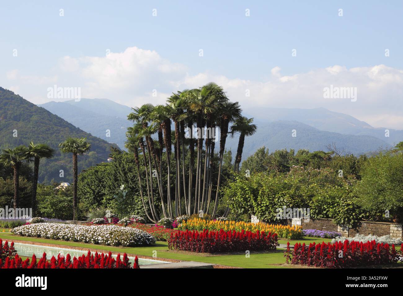 Park Villa Taranto, bright red, yellow and white flowers and palms. Magnificent tranquil landscape Stock Photo