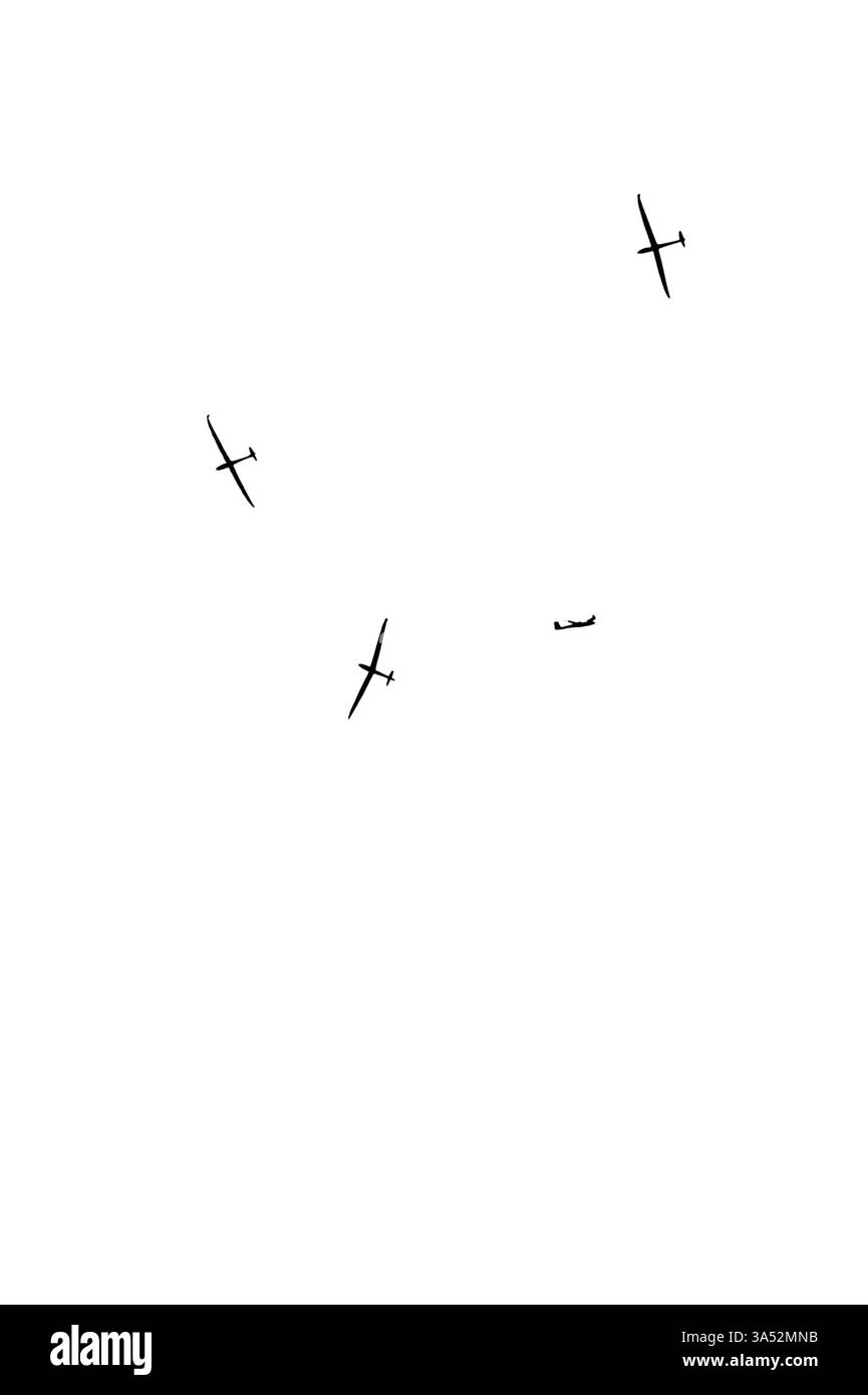 Circling gliders Stock Photo