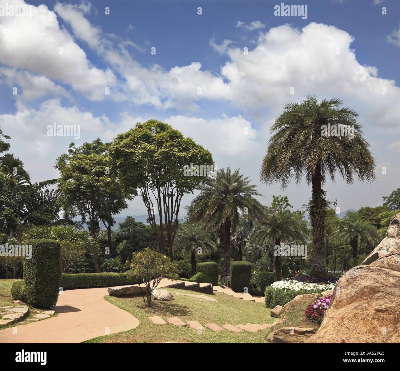Palm trees, flower beds and a path paved with tiles. A masterpiece of ...