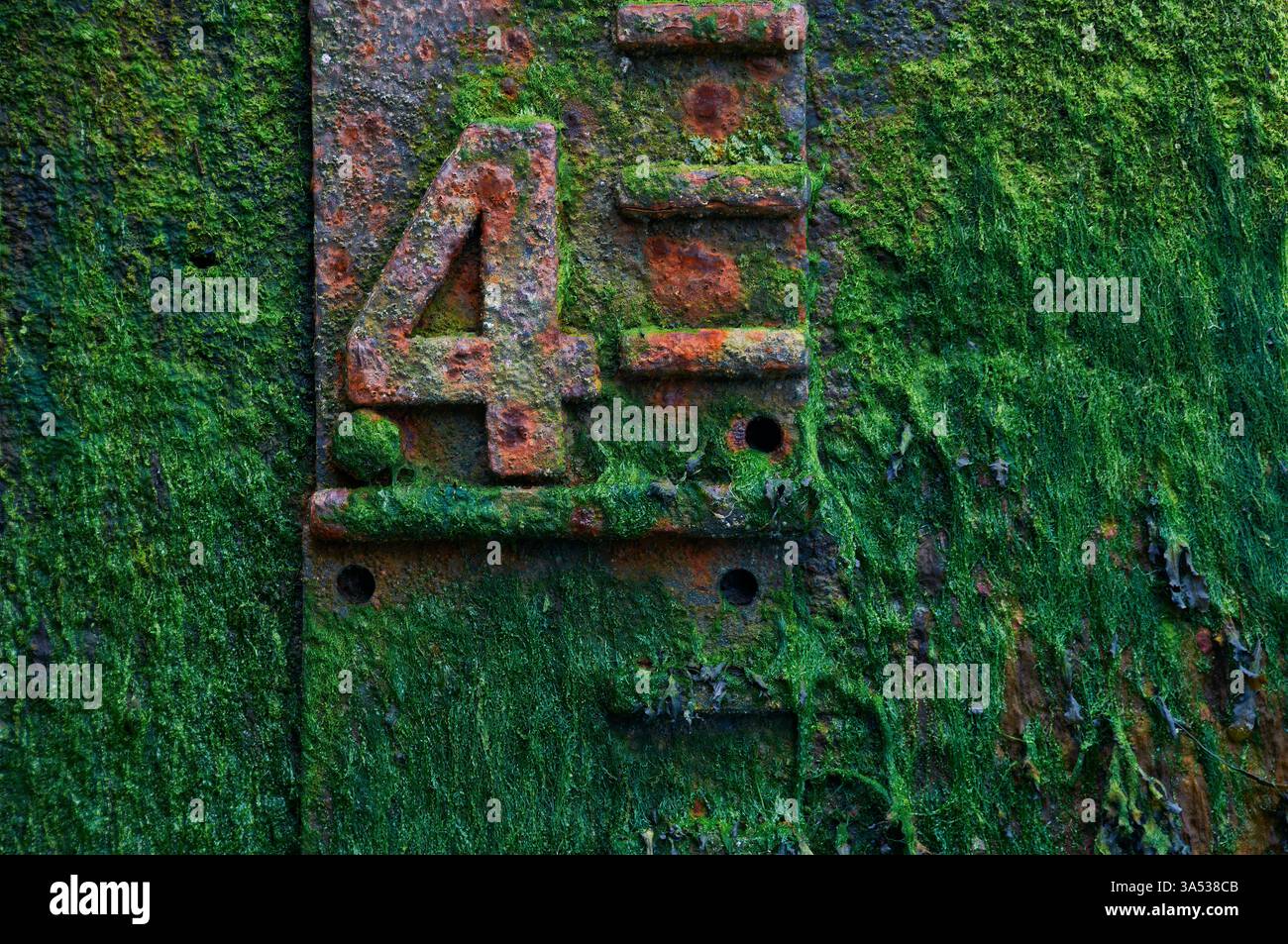 Old rusty water level gauge covered in green algae Stock Photo - Alamy