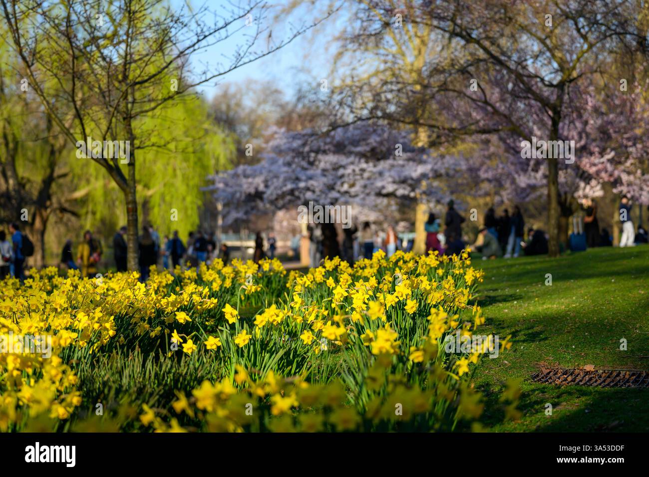 London, UK, 20th March 2025, Spring Equinox and spring weather duly ...