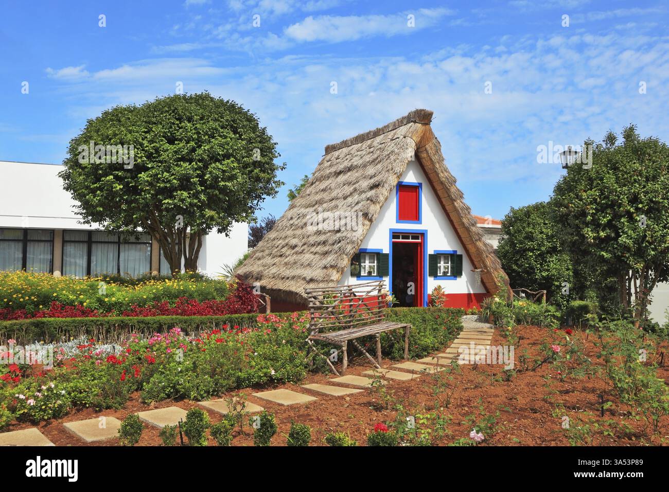 Charming white cottage with a thatched roof and gable small garden with ...