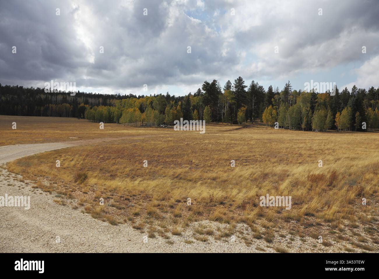 Fields and forests on the road to the northern survey area / North Rim ...