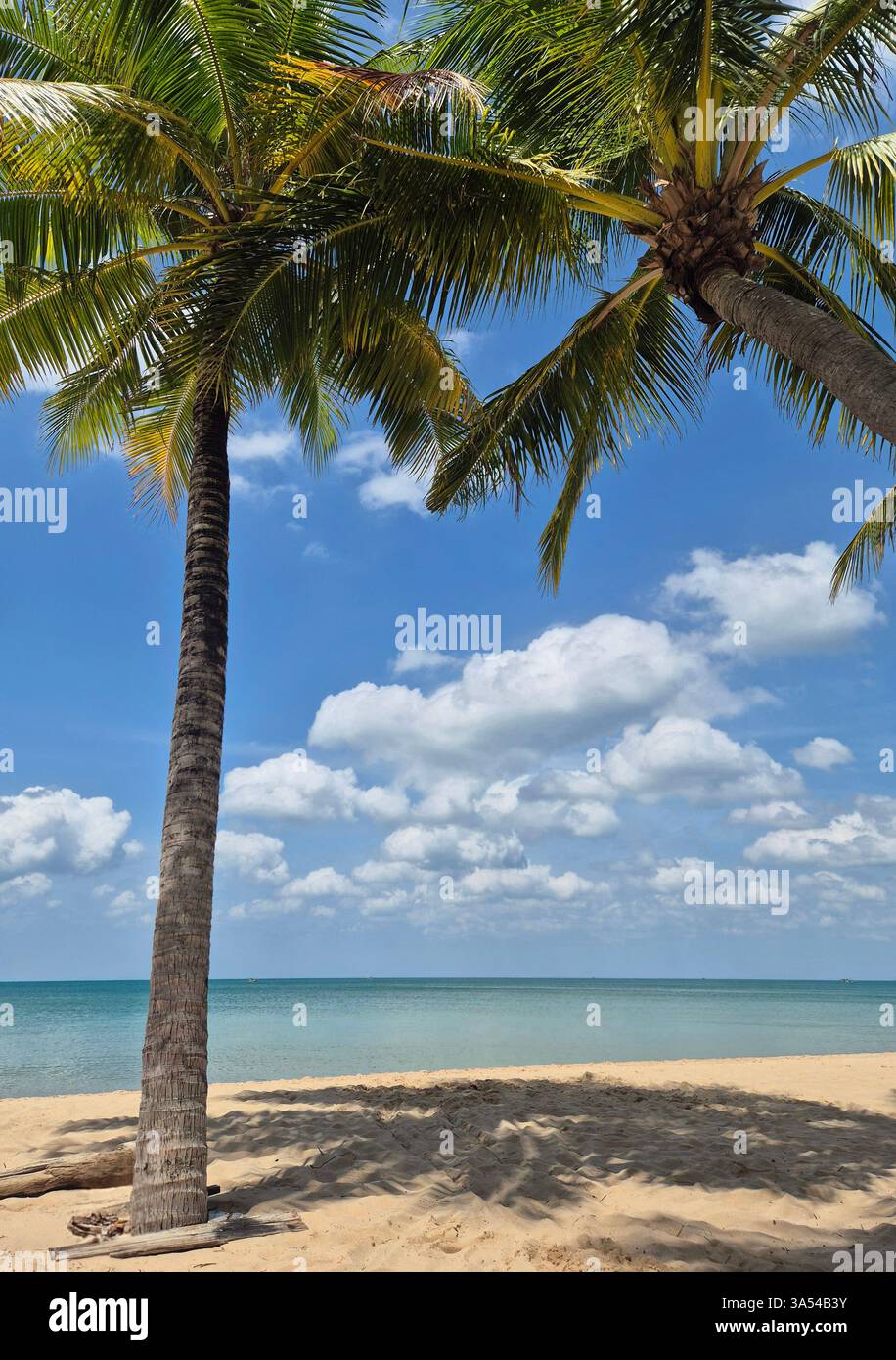 A little piece of paradise. - Smartphone Captured Stock Image