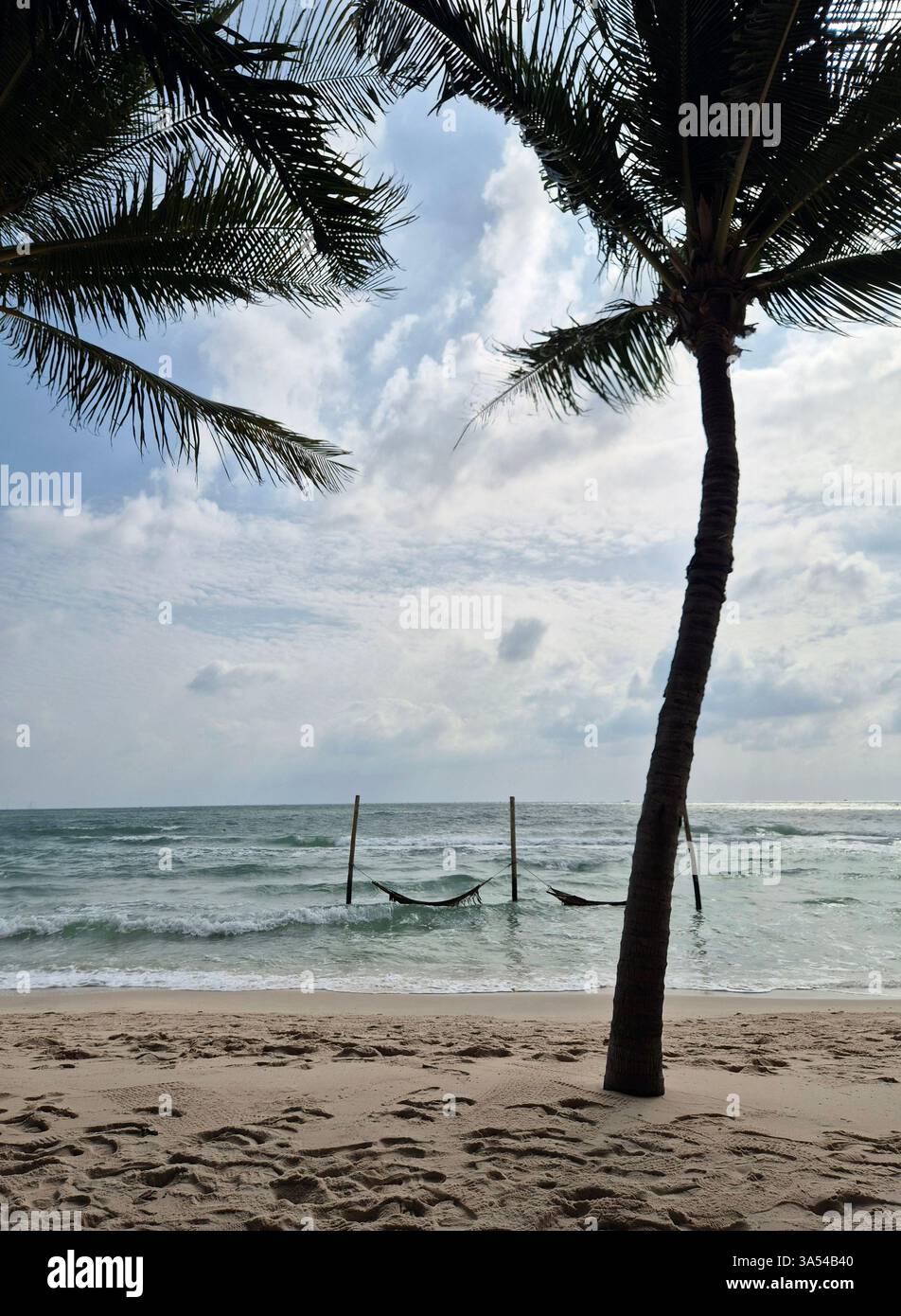 On the island of serenity. - Smartphone Captured Stock Image