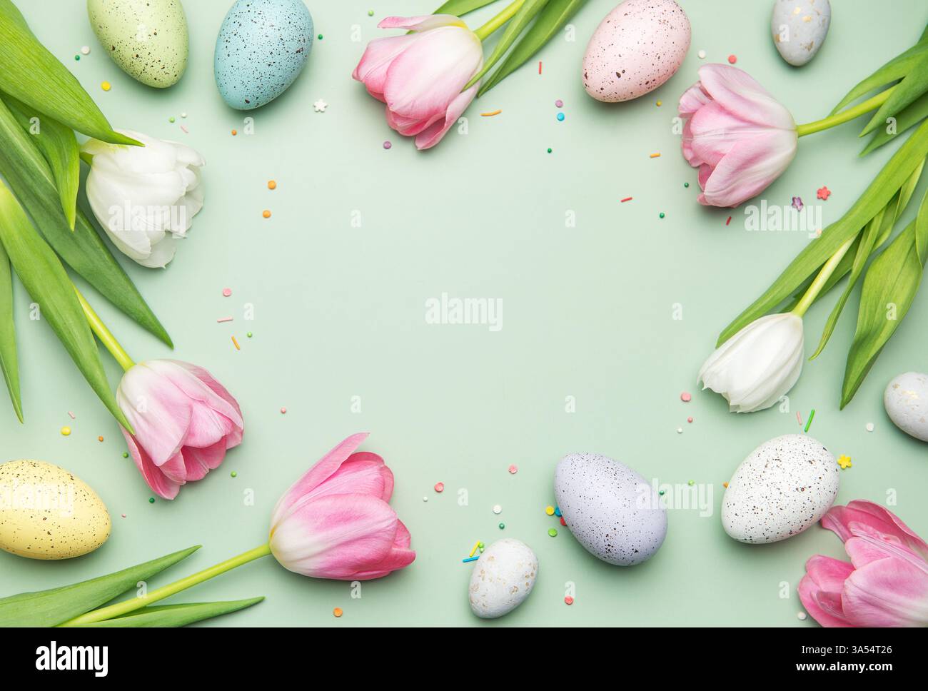 Easter eggs and tulips forming a festive frame on a pastel green ...