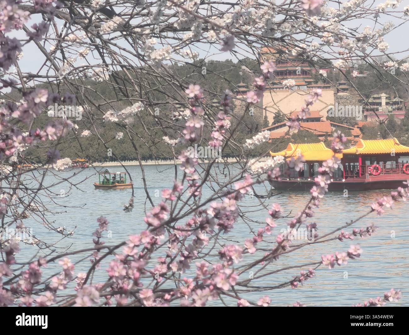 Spring scenery in the Summer Palace in Beijing, China, 19 March, 2025 ...