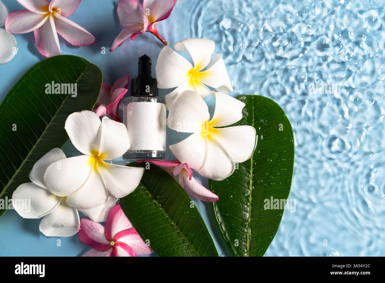 A luxurious serum rests on vibrant green leaves, embraced by soothing water droplets and flowers. Stock Photo