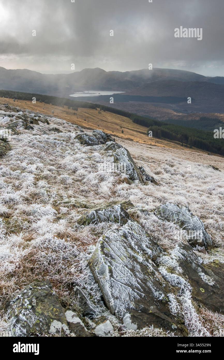 Cold frosty morning on Corserine, Galloway Hills, Dumfries & Galloway, Scotland Stock Photo