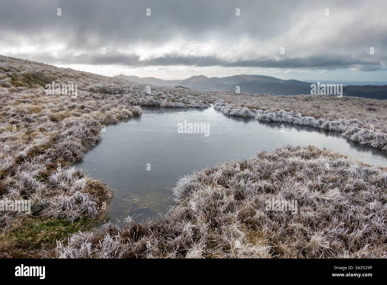 Cold frosty morning on Corserine, Galloway Hills, Dumfries & Galloway, Scotland Stock Photo