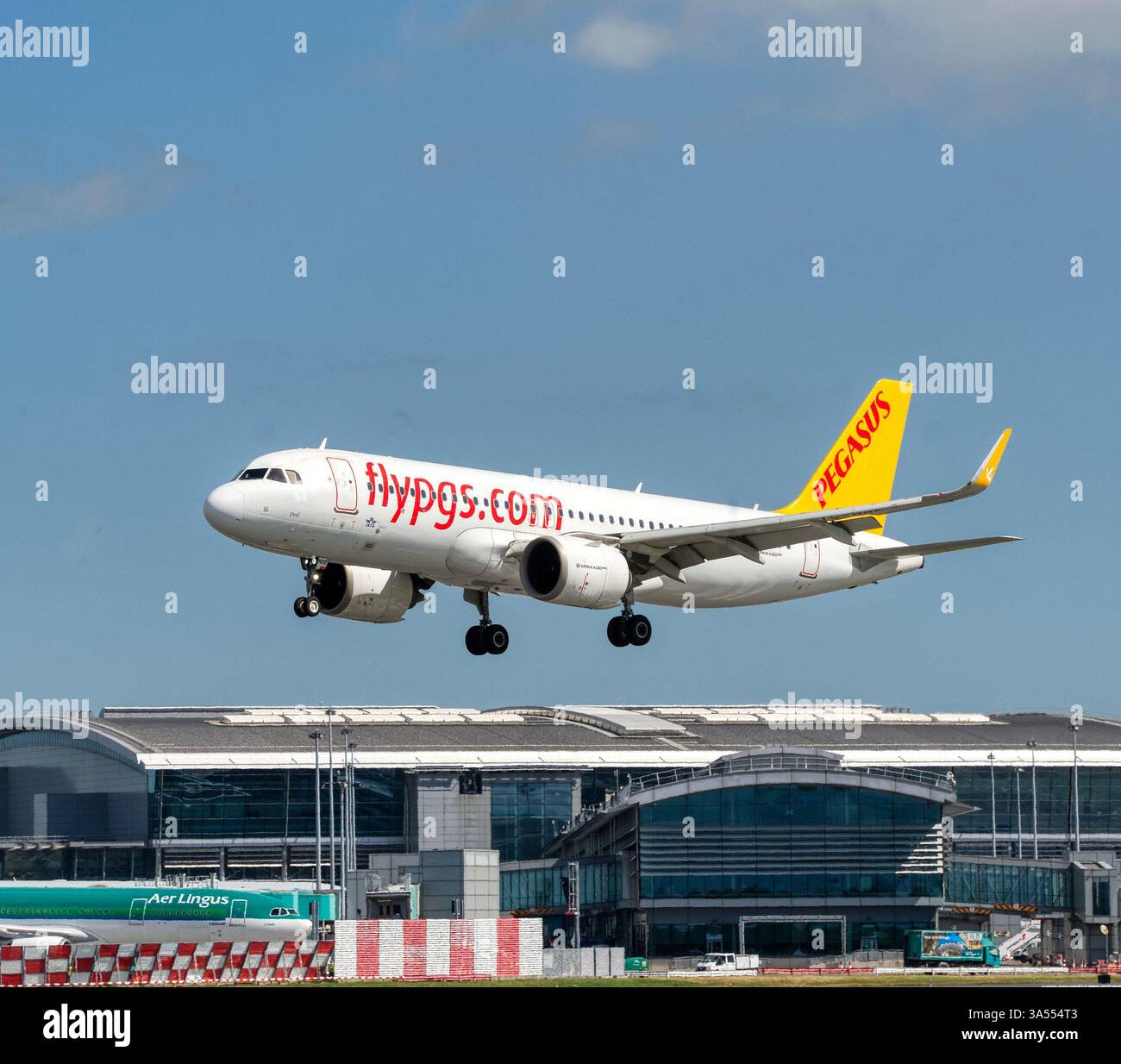 Flypgs hi-res stock photography and images - Alamy