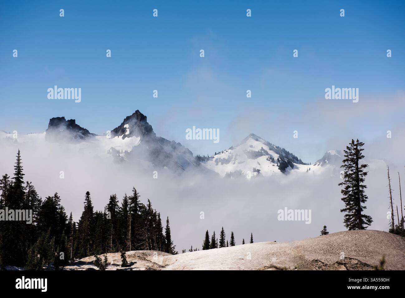 Mount rainier shrouded in hi-res stock photography and images - Alamy